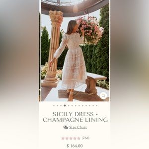 Ivy City Sicily Dress - Champagne Lining (Never Worn)